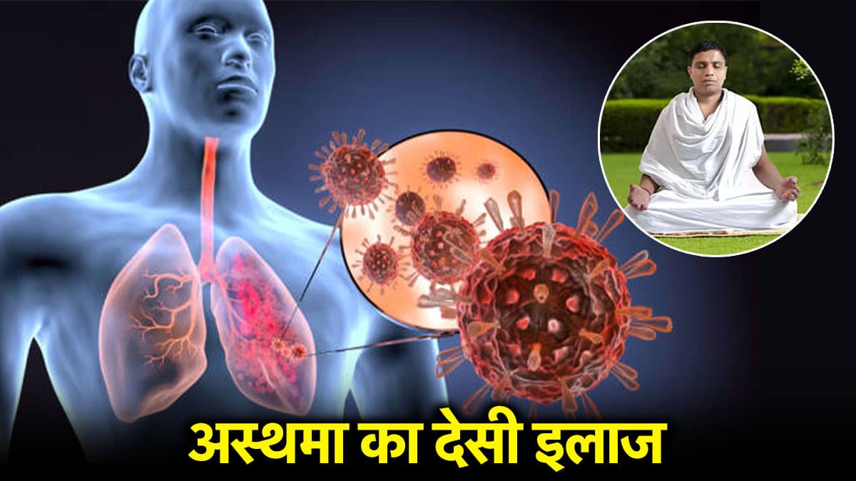 Acharya Balkrishna Health Tips: सिर्फ एक ड्राईफ्रूट में है सांस की बीमारियों का इलाज, आचार्य बालकृष्ण ने दिया नुस्खा