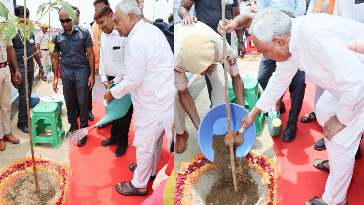 बिहार में 'जल जीवन हरियाली' अभियान के तहत लगाए गए 20 करोड़ से अधिक पेड़, बच्चों को दिए जाएंगे फ्री पौधे