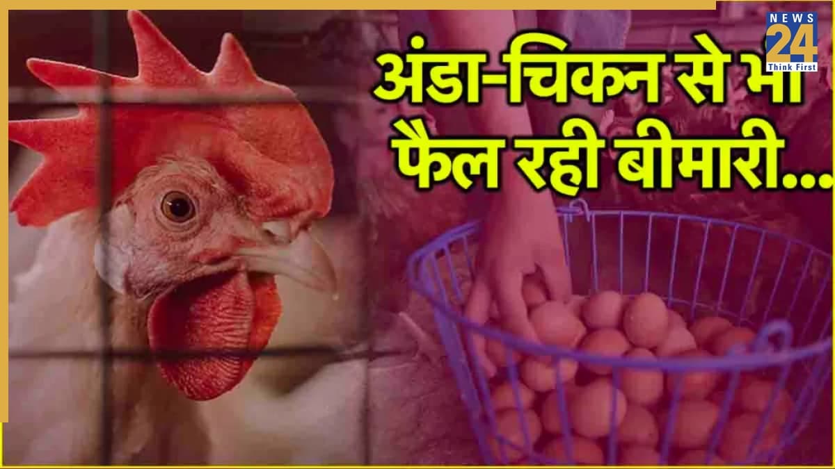 नोएडा में बर्ड फ्लू को लेकर एडवाइजरी जारी, जानें क्या नहीं करना है?