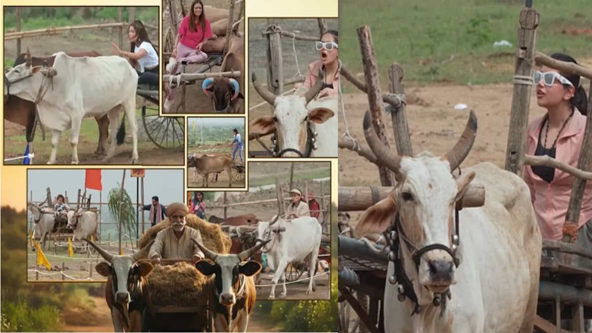 Chhoriyan Chali Gaon: चौथे दिन अनीता बनीं छोरी नंबर वन, गले में घंटी डाल नॉमिनेट की ये कंटेस्टेंट