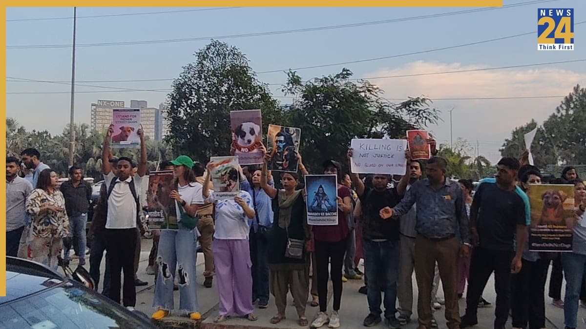Dog Lover Protest
