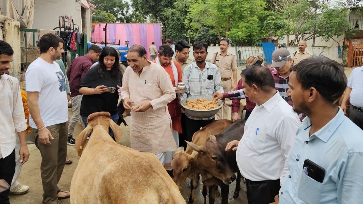 Gaushala News