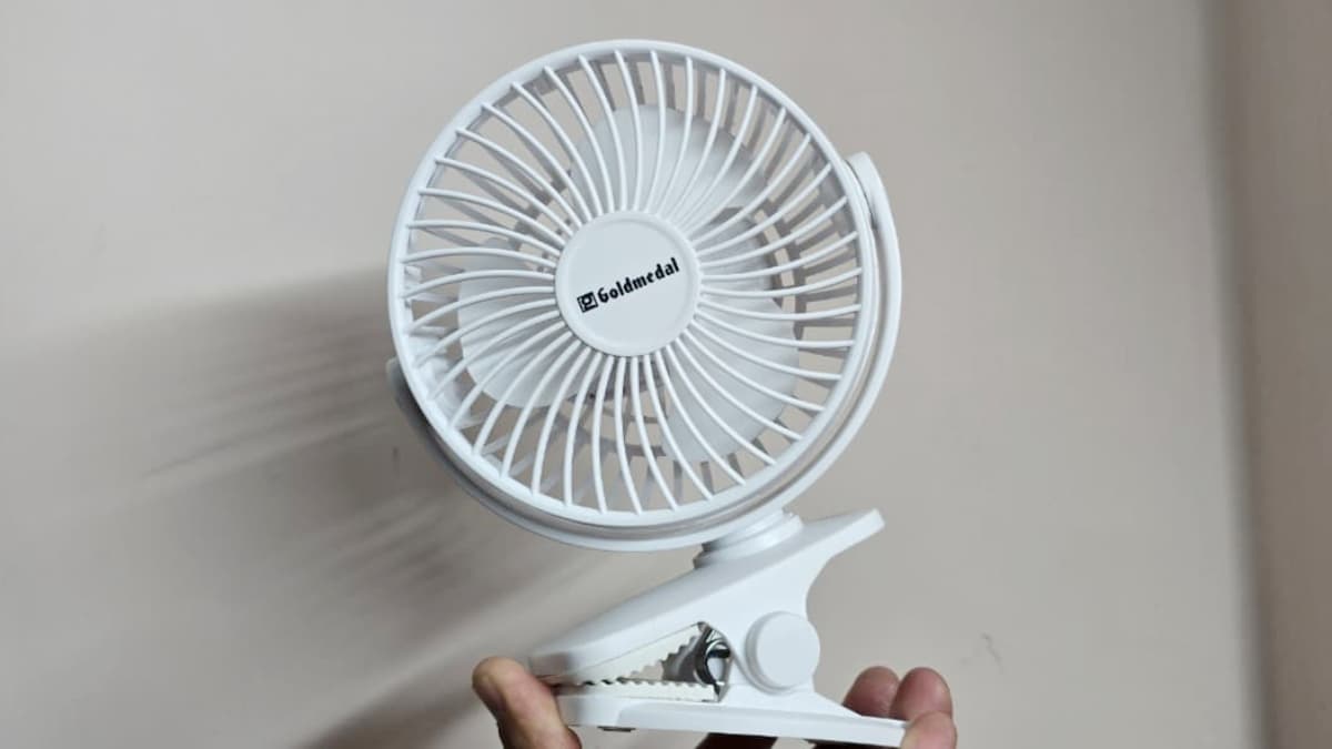 Goldmadel FAN