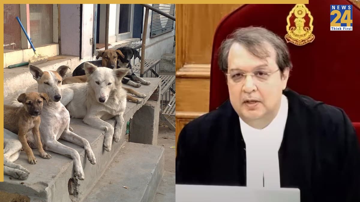 Video: कौन हैं जस्टिस पारदीवाला? जिनके 3 फैसलों पर CJI बी.आर गवई को देना पड़ा दखल