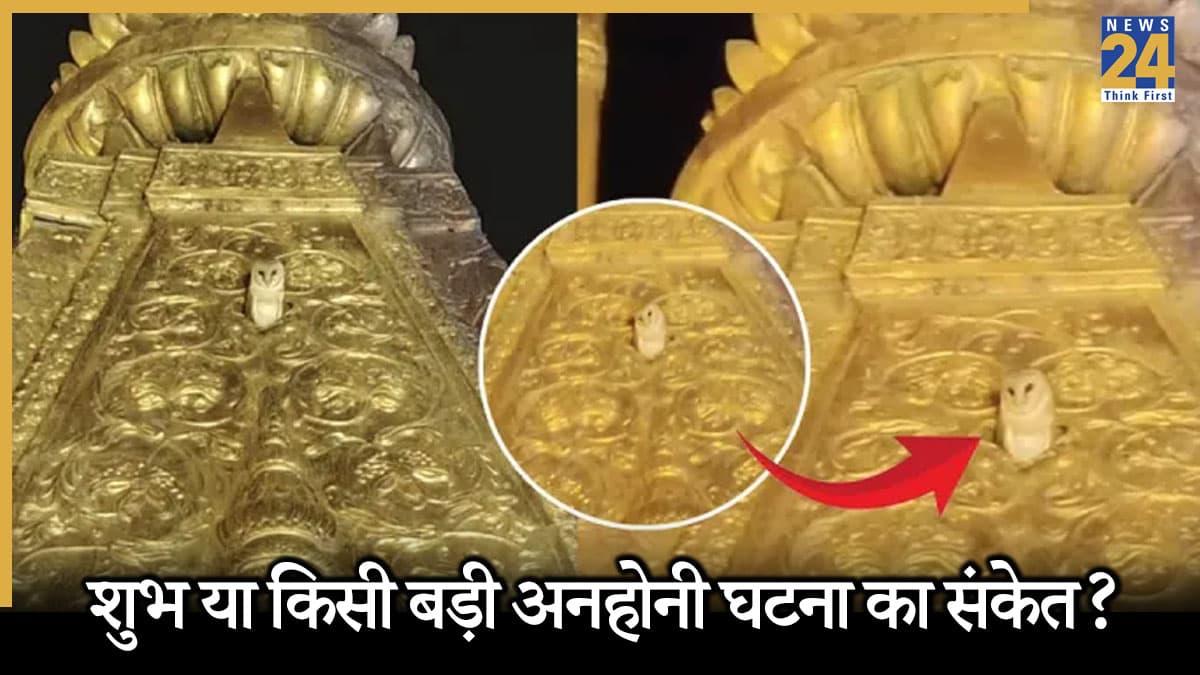 चौथे दिन भी काशी विश्वनाथ मंदिर के शिखर पर दिखा सफेद उल्लू, जानें मां लक्ष्मी से क्या है कनेक्शन?