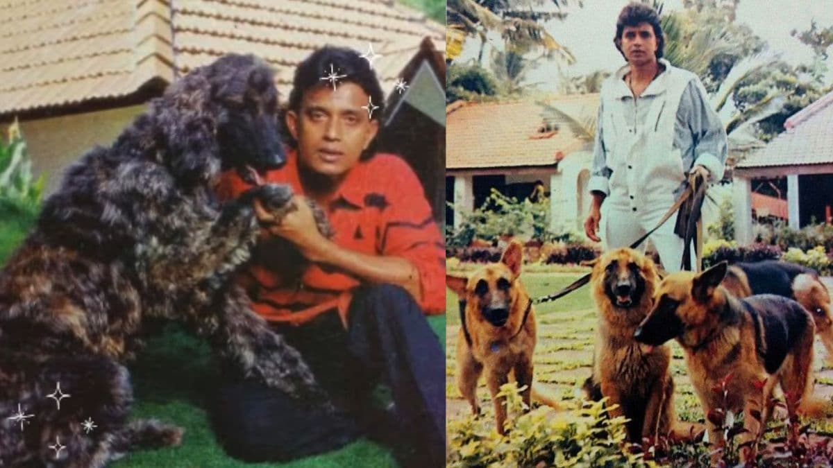 Mithun Chakraborty ने कुत्तों को नाम की करोड़ों की प्रॉपर्टी, 1.5 एकड़ के फार्महाउस में हर कुत्ते के पास है अपना कमरा