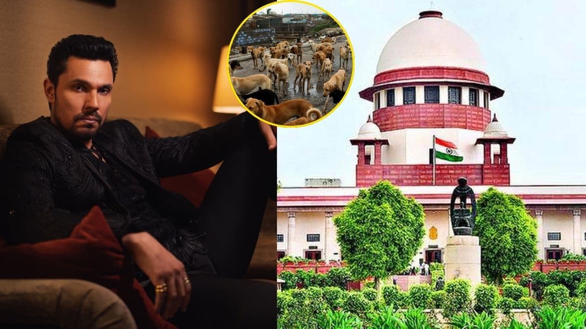 रणदीप हुड्डा ने आवारा कुत्तों को लेकर SC के फैसले का किया समर्थन, बोले-'जानवरों से प्यार है लेकिन…'