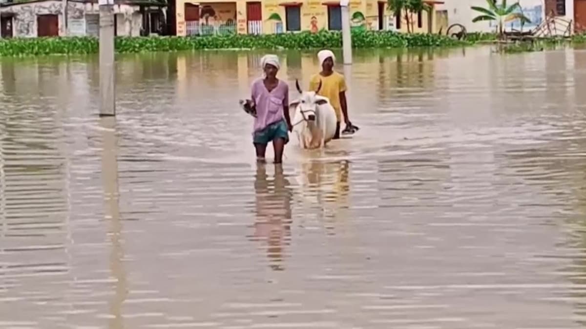 Video: बुंदेलखंड में बाढ़ का विकराल रूप, दर्जनों गांवों हुए जलमग्न