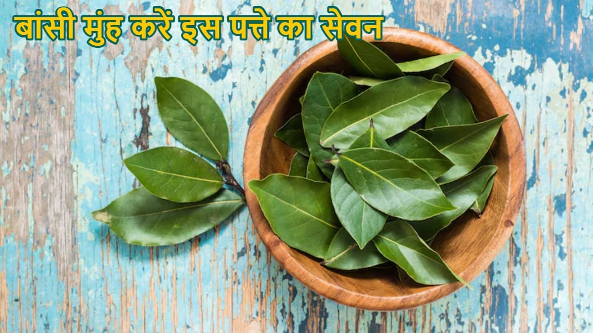 सुबह खाली पेट चबा-चबाकर खा लें करी पत्ता, बालों से लेकर वेट लॉस में मिलेगी मदद