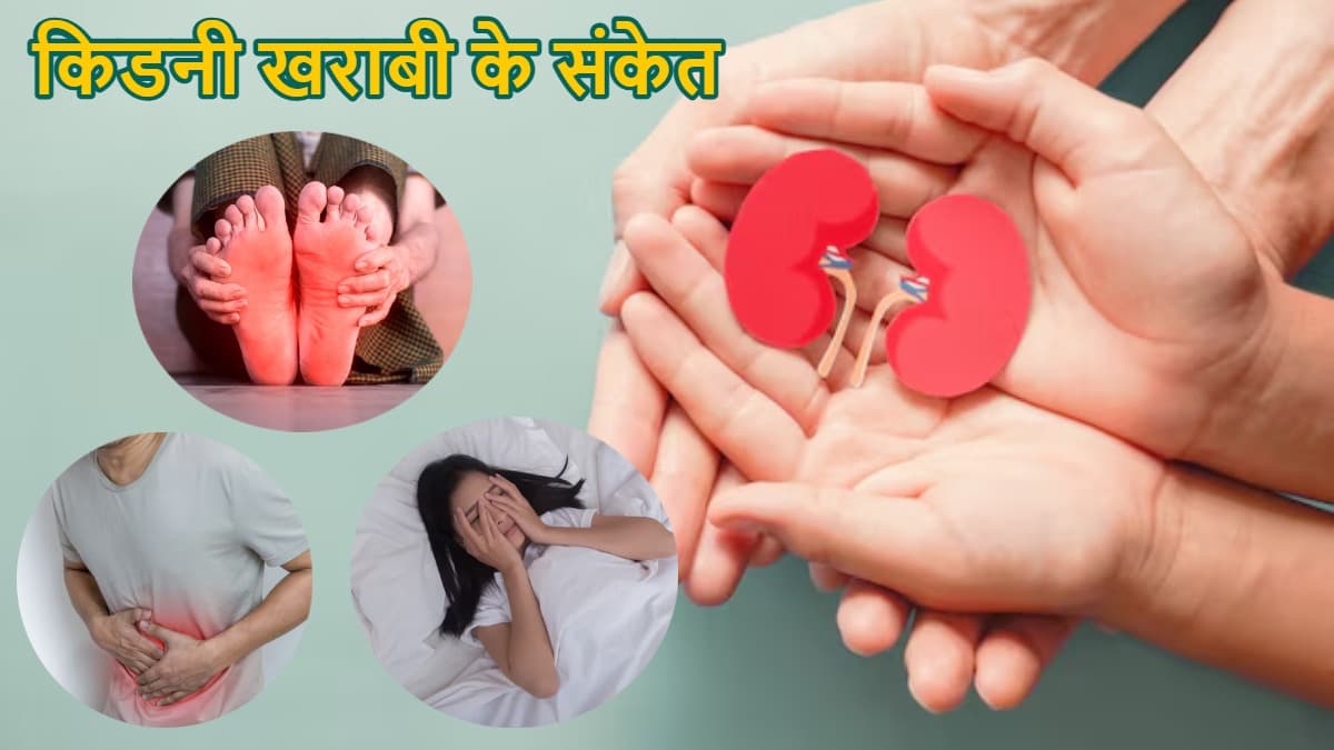 शरीर के इन 5 अंगों में दर्द होना हो सकती है किडनी डैमेज की चेतावनी, एक्सपर्ट क्या कहते हैं?