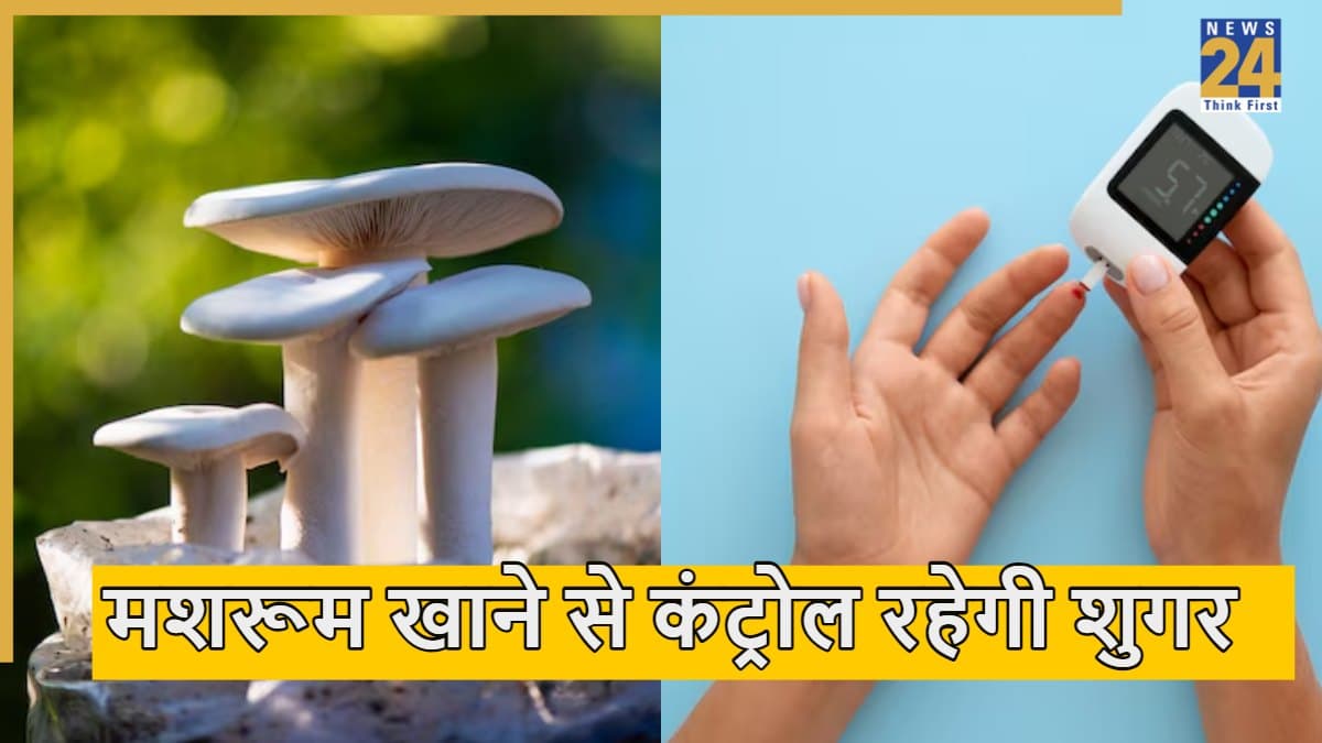 शुगर कंट्रोल के लिए खाएं ये मशरूम, नई स्टडी में सामने आया ब्लड लेवल करने का आसान तरीका