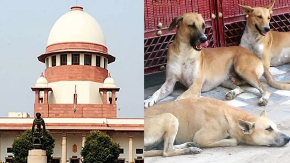 आवारा कुत्तों के मामले में नया मोड़, CJI ने किया 3 जजों की बेंच का गठन