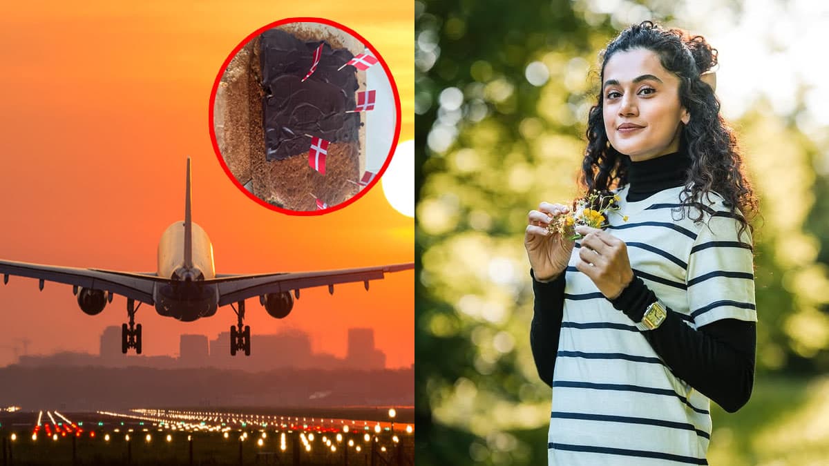 Taapsee Pannu Taapsee Pannu
