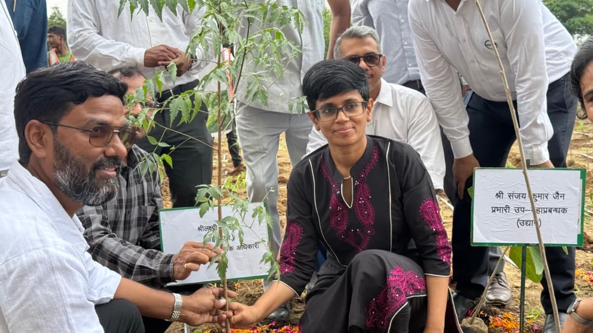 Tree Plantation Authority