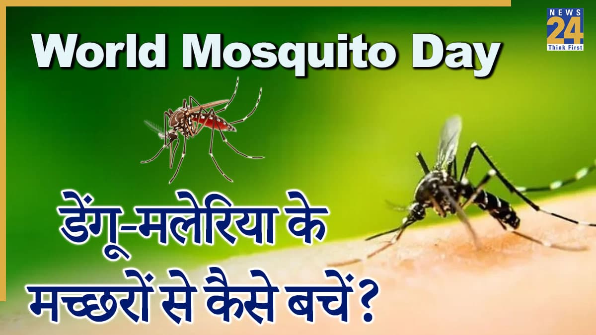 World Mosquito Day: मच्छरों से होती हैं कौन-कौन सी बीमारियां? दूर रखने के लिए क्या करें उपाए