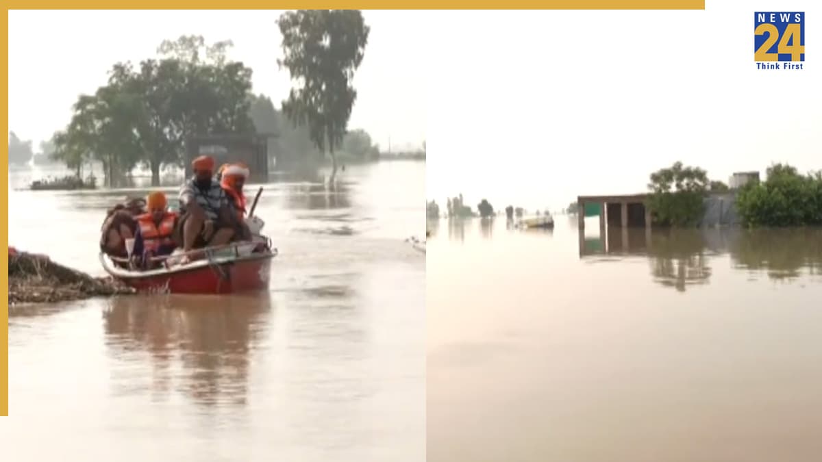 Video: पंजाब के 7 जिले बाढ़ की चपेट में, बोट से हो रहा राहत-बचाव का काम, उफान पर ब्यास नदी