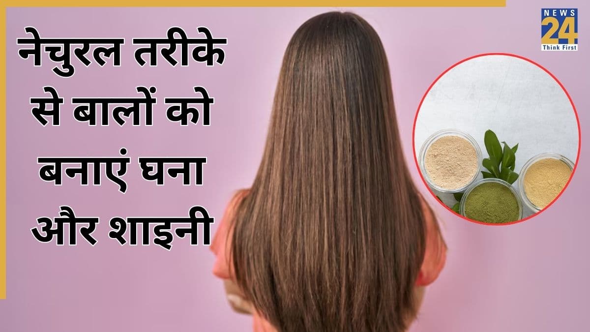 Hair Care: घने और मोटे बाल चाहिए, आज से ही खाना शुरू कर दीजिए ये पाउडर, एक्सपर्ट ने बताया तेजी से दिखेगा असर