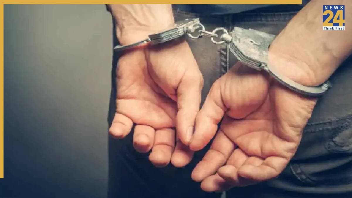 दिल्ली में छेड़छाड़ और आपत्तिजनक वीडियो मामले का आरोपी पायलट गिरफ्तार, कब-कहां और क्या हुआ था?