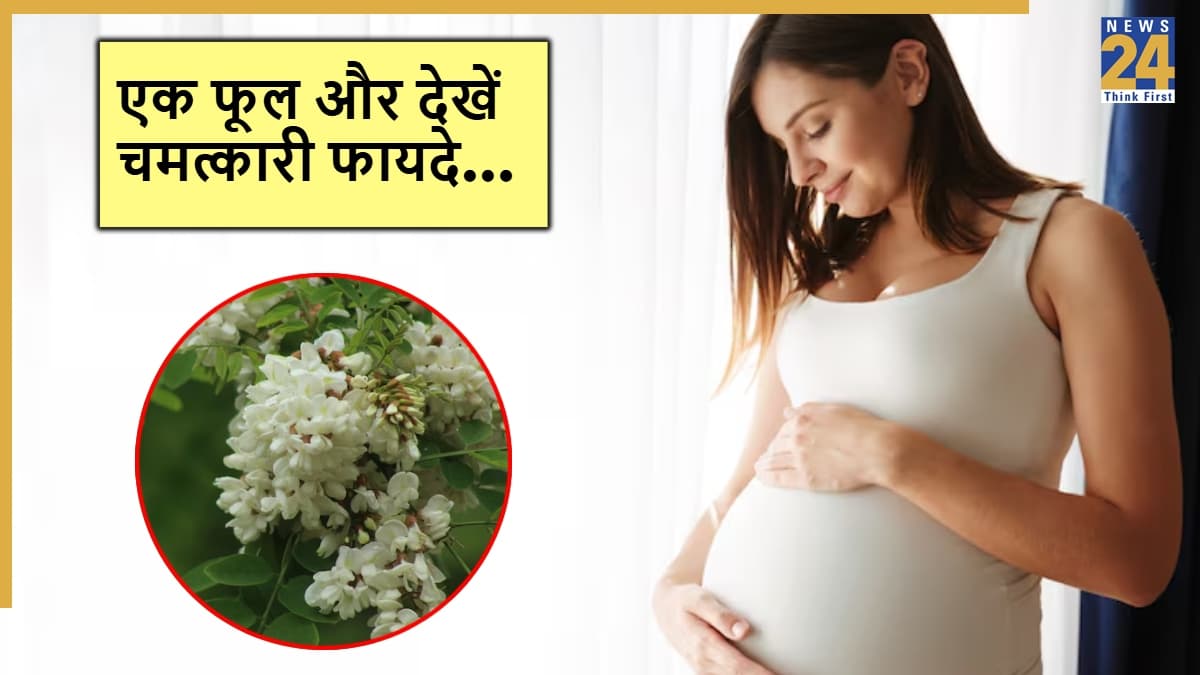 Moringa Flowers Benefits For Pregnant Women: प्रेगनेंसी में सहजन का फूल खाने से मिलते हैं ये फायदे