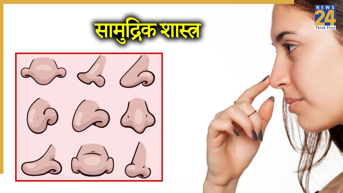 पैनी, मोटी, चपटी या छोटी, कैसी नाक वाले लोग होते हैं भाग्यशाली? सामुद्रिक शास्त्र से जानें शुभ-अशुभ संकेत