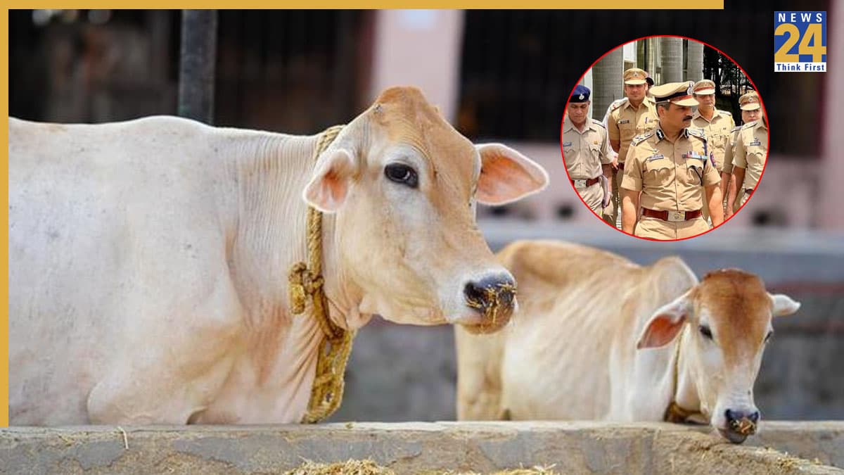 गौ हत्या पर मचा बवाल, महंतों और ग्रामीणों का प्रदर्शन, पुलिस को मिला 2 दिन का अल्टीमेटम