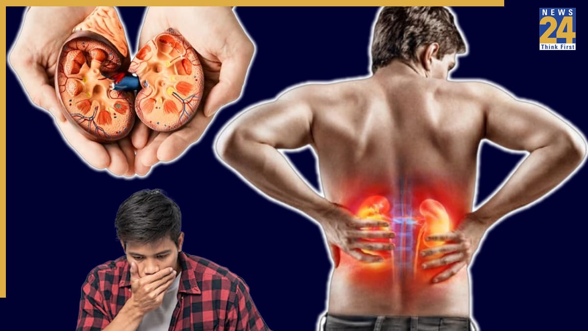 पेट-पसलियों का दर्द भी किडनी डैमेज का संकेत, एक्सपर्ट ने दी ये चेतावनी