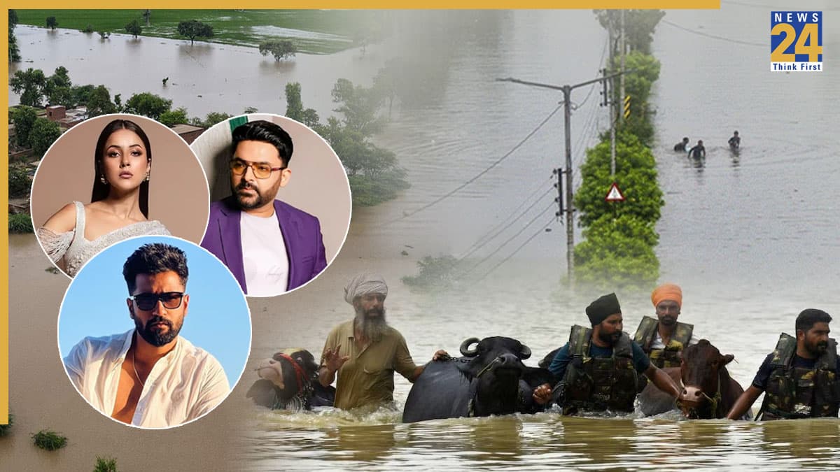 पंजाब में आई बाढ़ से टूटा सेलेब्स का दिल, शहनाज गिल से विक्की कौशल तक स्टार्स ने बढ़ाया मदद का हाथ