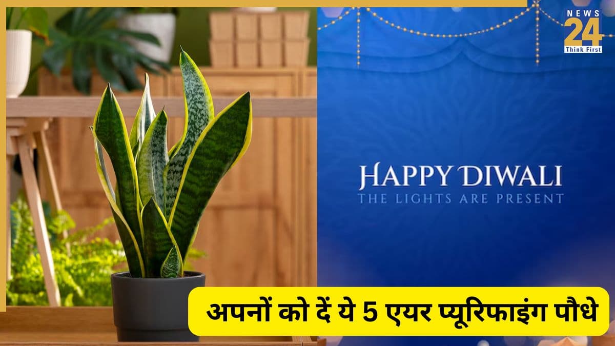 Diwali 2025: फेस्टिवल में अपनों को गिफ्ट में दें पौधे, दिवाली बनेगी हेल्दी और एनवायरनमेंट फ्रेंडली