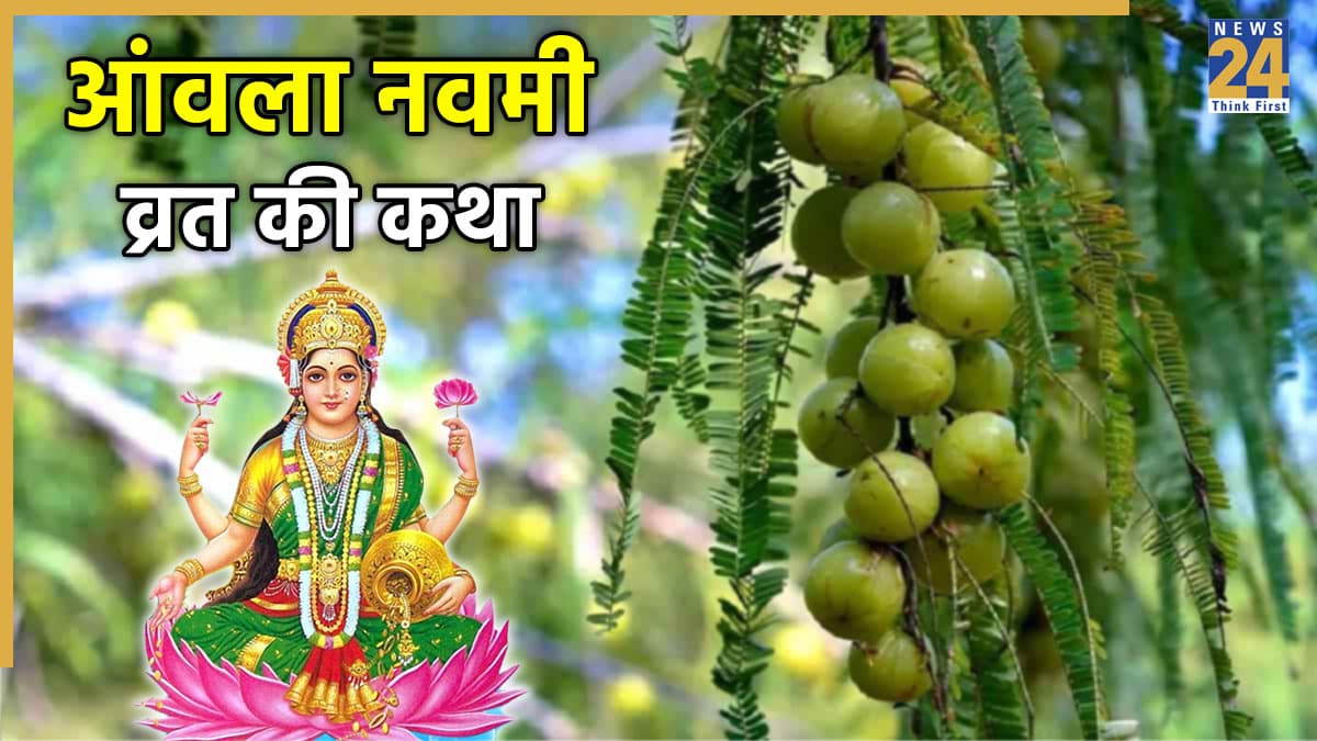 Amla Navami Vrat Ki Katha: आज आंवला नवमी पर जरूर पढ़ें मां लक्ष्मी की ये कथा, सुख-समृद्धि से भर जाएगा घर