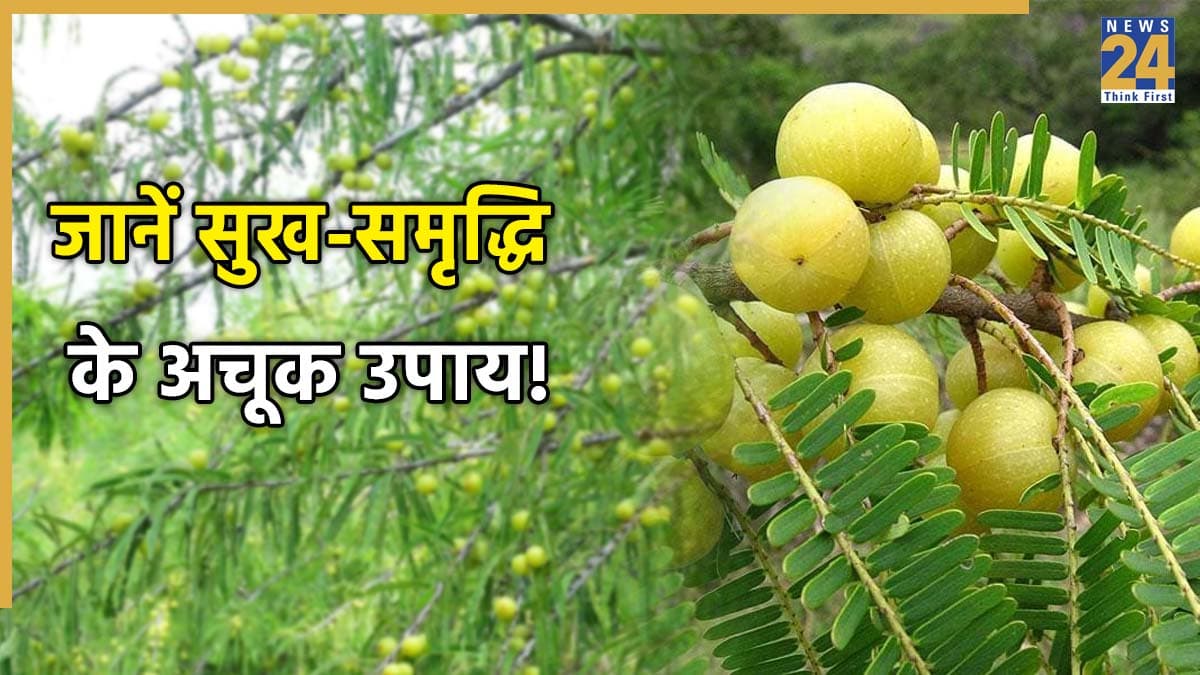 Amla Navami 2025: धन संकट और कर्ज से परेशान हैं? आंवला नवमी पर करें ये अचूक उपाय; बरकत होगी तेज
