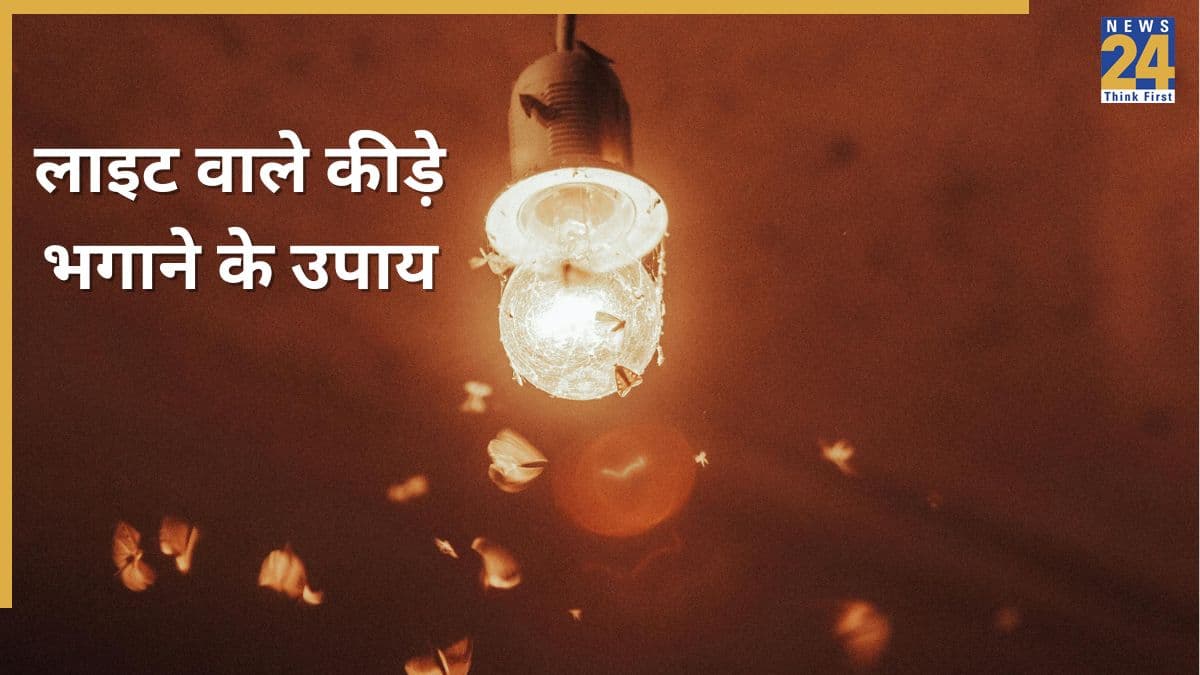 बल्ब जलाते ही उड़ने वाले कीड़े आ जाते हैं? यहां जानिए लाइट के कीड़े भगाने के उपाय