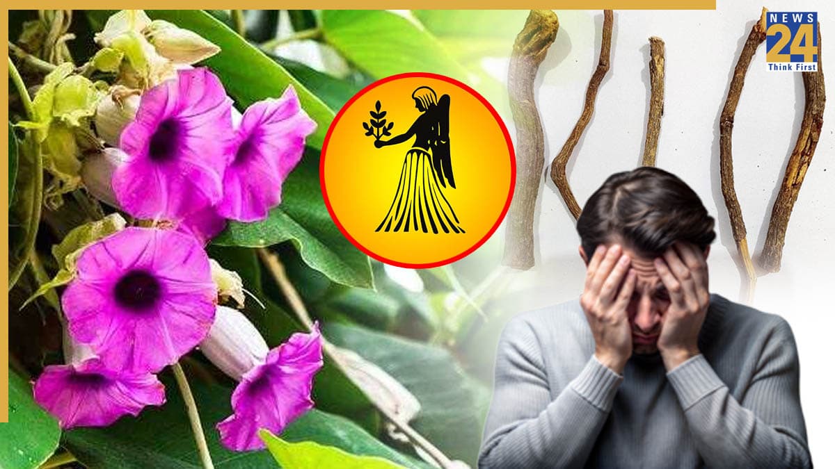 Video: कन्या राशिवाले आज ही करें विधारा की जड़ का ये उपाय, बीमारियों से लेकर धन की समस्या होगी दूर