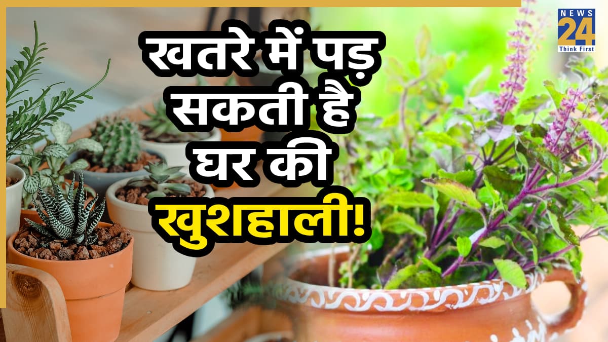 Tulsi Vastu Tips: तुलसी के पास गलती से भी न लगाएं ये पौधे, वरना रुक जाएगी बरकत; हमेशा रहेंगे परेशान