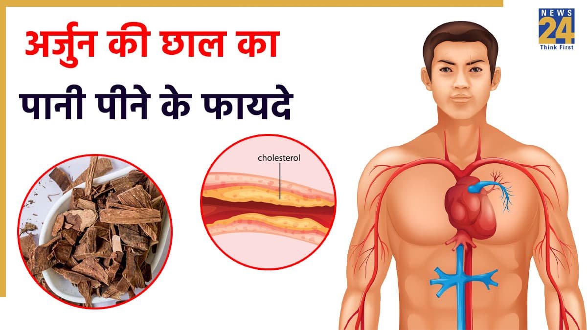सुबह खाली पेट पिएं अर्जुन छाल का पानी, कोलेस्ट्रॉल से लेकर दिल की समस्याएं होंगी दूर, डॉक्टर ने बताए फायदे