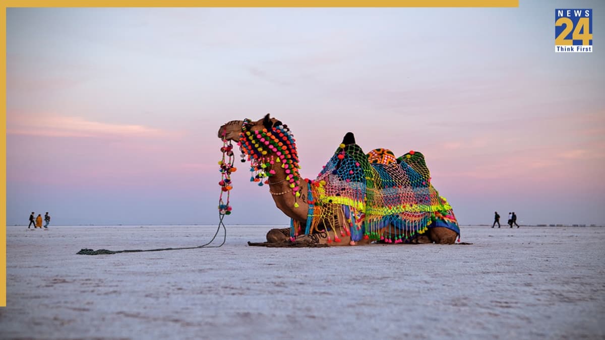 Kutch-Bhuj Tour Package: कम पैसे में घूमना चाहते हैं कच्छ और भुज? IRCTC लेकर आया इतने रुपये का पैकेज