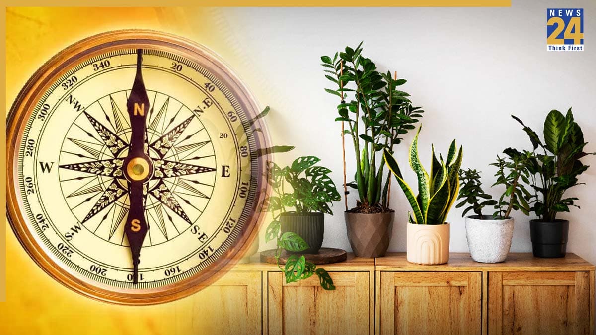 Plant Vastu Tips: घर के भीतर भूल से भी न लगाएं ये 7 पौधे, वरना रूठ जाएगा भाग्य