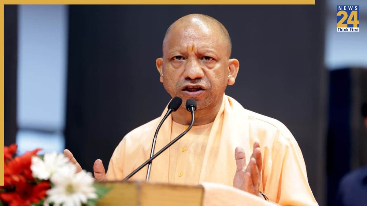 yogi