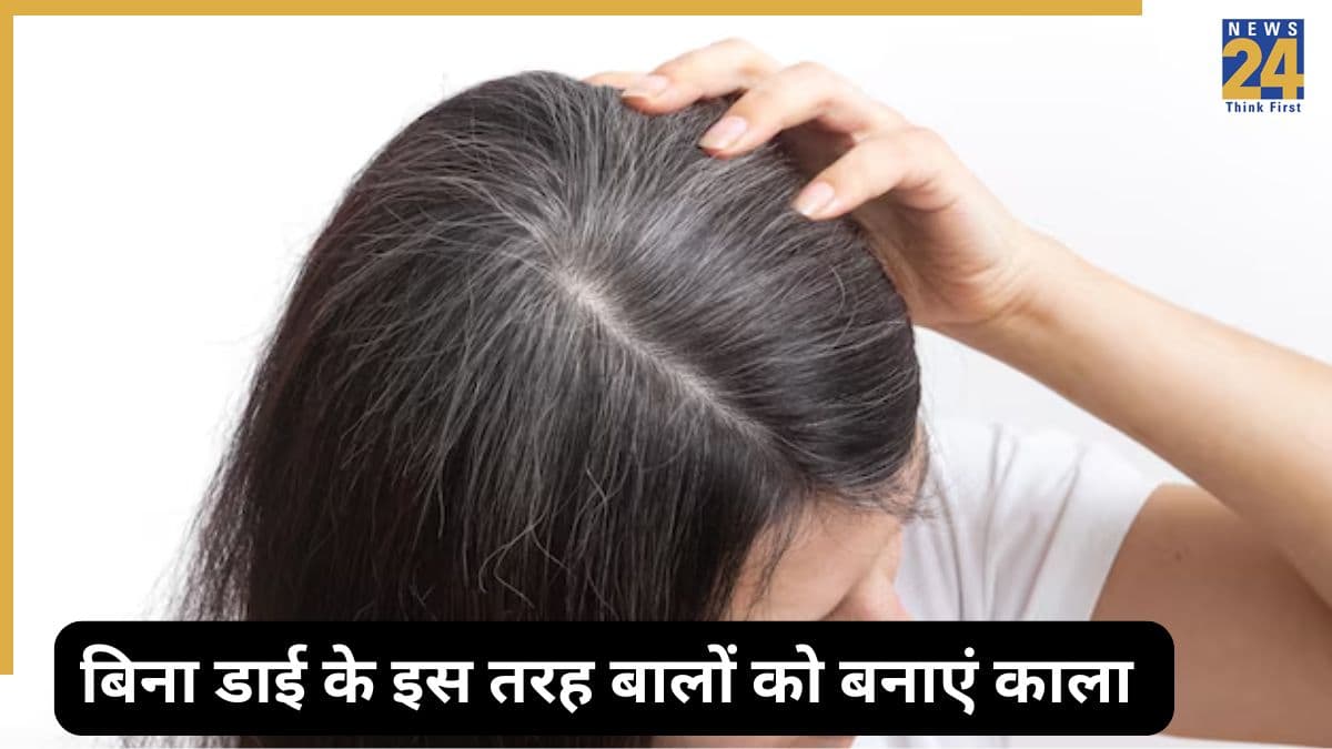 सिर्फ 15 दिनों में सफेद से काले हो जाएंगे बाल, अपनाएं ये देसी नुस्खा, हेयर ग्रोथ भी बढ़ेगी