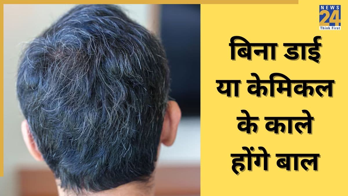 Grey Hair: सफेद बालों से हैं परेशान? डॉक्टर ने कहा इस चीज का करें सेवन, बाल हो जाएंगे नेचुरली काले