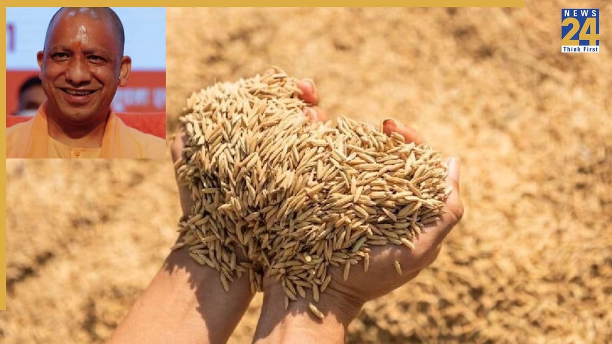 योगी सरकार में धान खरीद ने पकड़ी रफ्तार, बरेली मंडल ने अब तक 1.06 लाख एमटी धान की खरीद