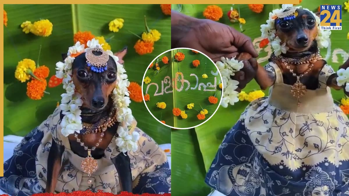 Dog Ka Video: डॉगी के बेबी शॉवर ने सोशल मीडिया पर मचाई धूम, देखते ही लोगों ने कहा- अरे मिल गई डोगेश भाई की दुल्हनियां…