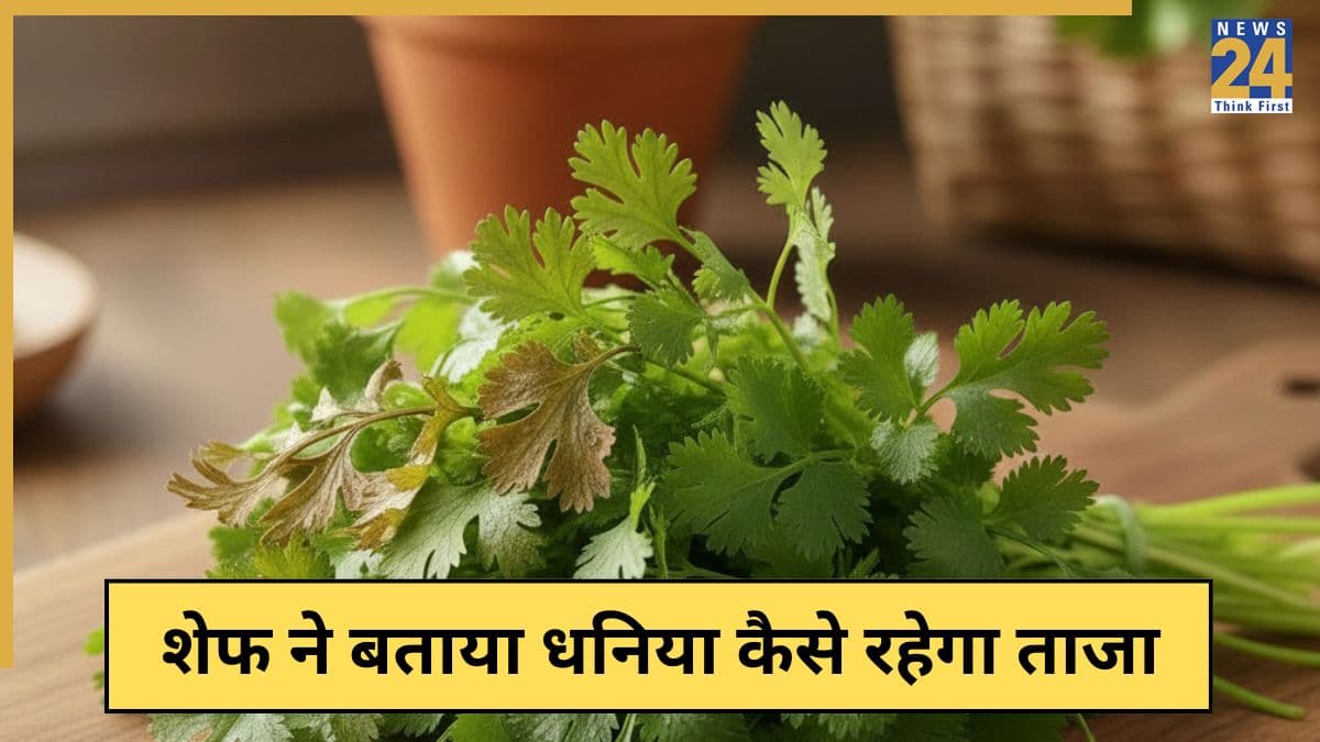धनिया को लंबे समय तक कैसे स्टोर करें? शेफ ने बताया फ्रिज में और बिना फ्रिज के धनिया को कैसे ताजा रखें