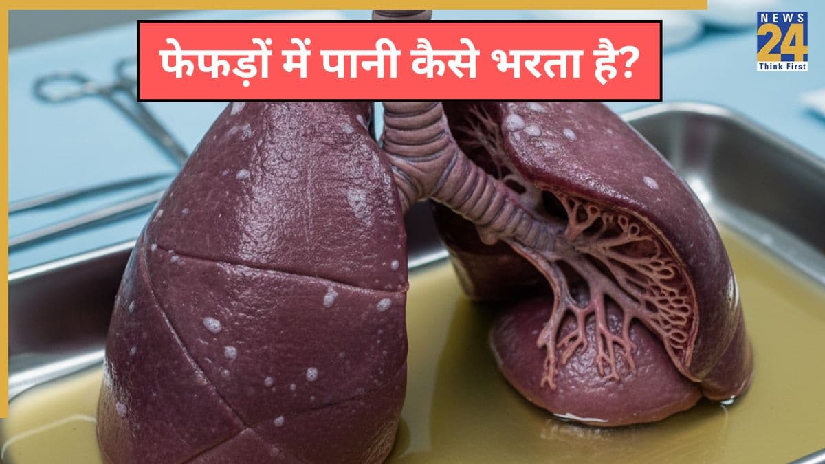 फेफड़ों में पानी कैसे भरता है और फेफड़े में पानी भरने के क्या लक्षण होते हैं, जानिए यहां