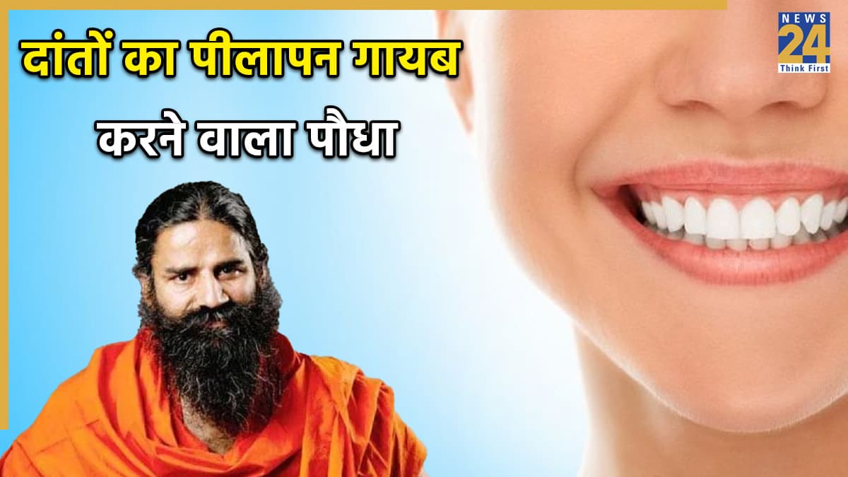 Teeth Care Tips: कमजोर पीले दांतों का रामबाण इलाज है ये पौधा, बाबा रामदेव से जानें ट्रिक्स, कभी नहीं आएगी मसूड़ों में दिक्कत