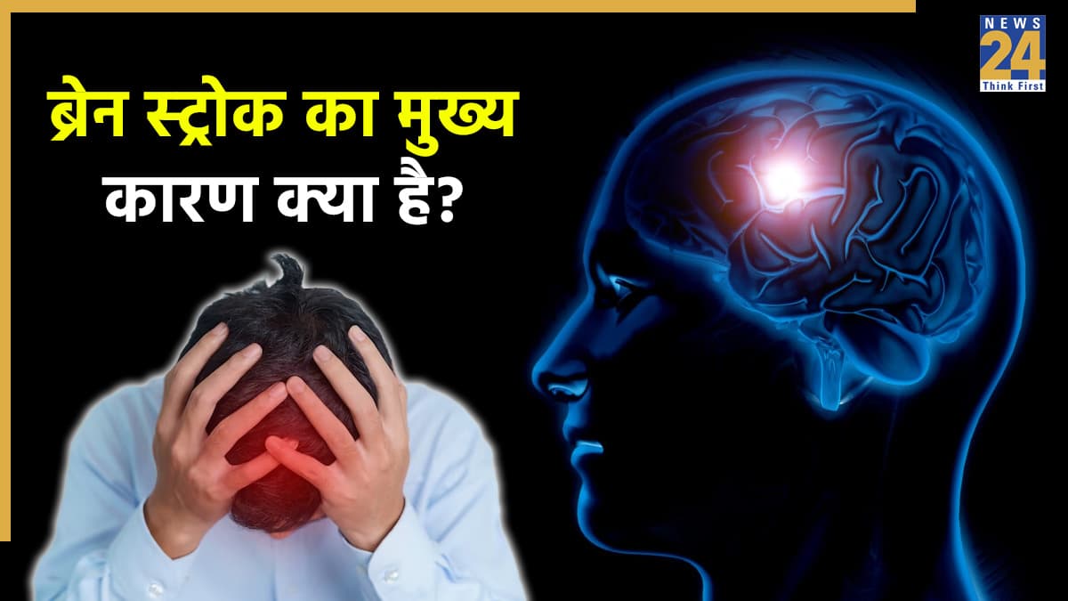 Brain Stroke Symptoms: हेल्दी इंसान को भी होता है स्ट्रोक का खतरा? ये लक्षण दिखें तो हो जाएं सावधान