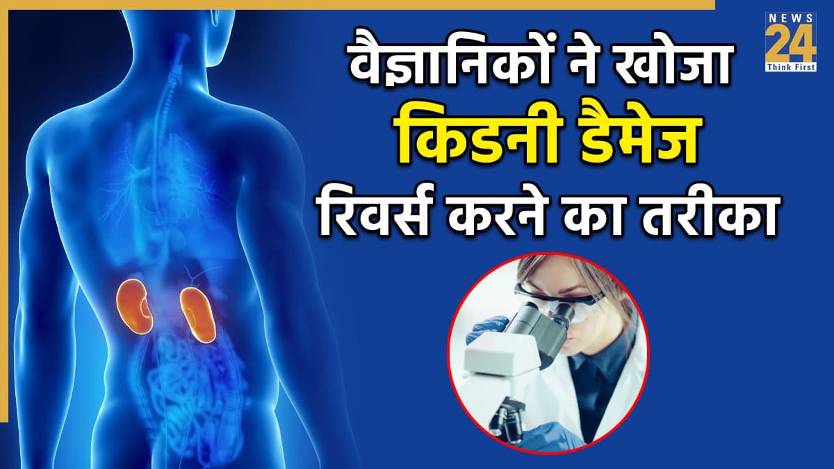 किडनी डैमेज को रिवर्स करने का वैज्ञानिकों ने खोज निकाला तरीका, स्टडी में पाया खराब गुर्दे हो सकते हैं ठीक
