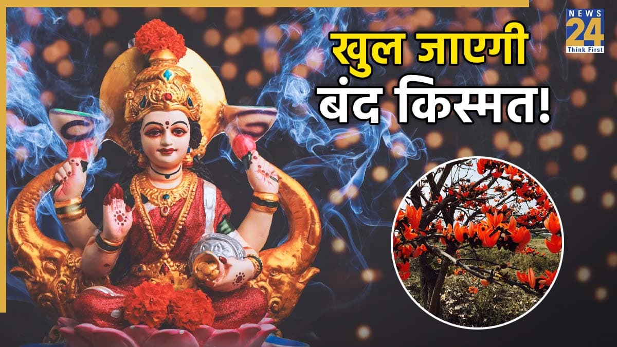 Dhan ke Upay: तिजोरी में रखें टेसू का फूल, मिलेगी मां लक्ष्मी की कृपा; होगी धन की बारिश