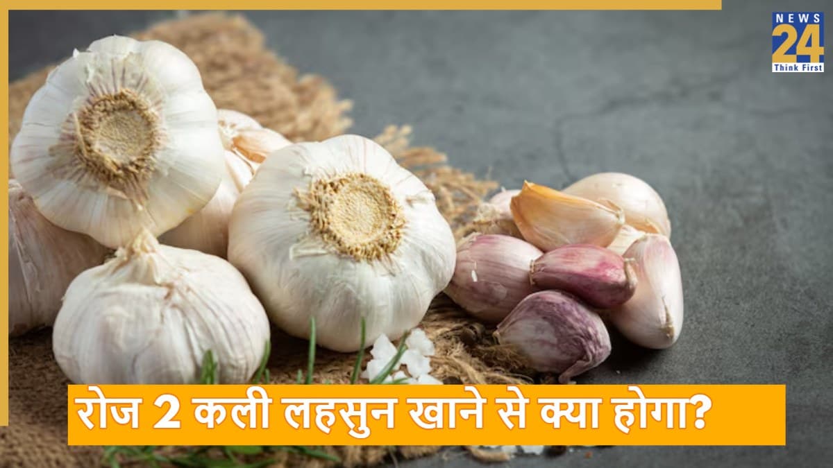 रोज खाएं लहसुन की 2 कलियां… कभी नहीं पड़ेंगी बीमार, डॉक्टर ने बताया कब और कैसे खाना सही