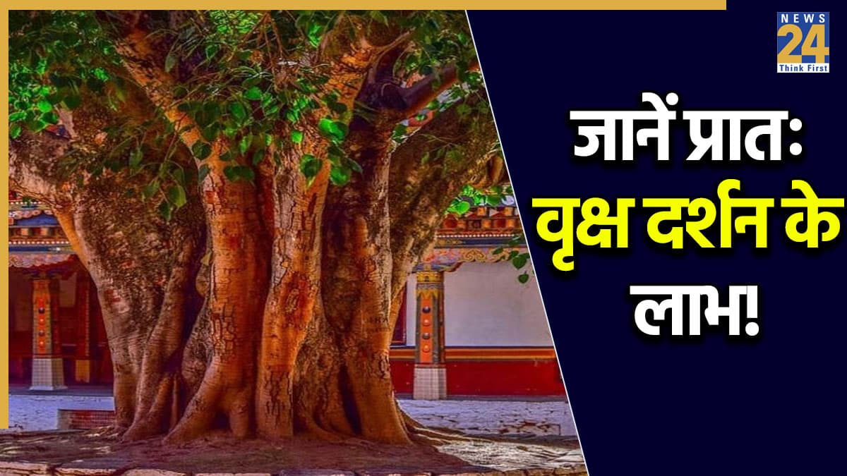 Auspicious Morning Tree: सुबह-सुबह इन 5 पेड़-पौधों का दर्शन दिन बनाता है शुभ; रोग, शोक, धन संकट भी होते हैं दूर