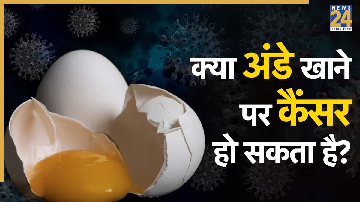 क्या अंडे खाने से कैंसर हो सकता है? जानिए क्या है पूरा मामला, एक्सपर्ट्स ने बताया क्या अभी अंडे का सेवन करना सुरक्षित है